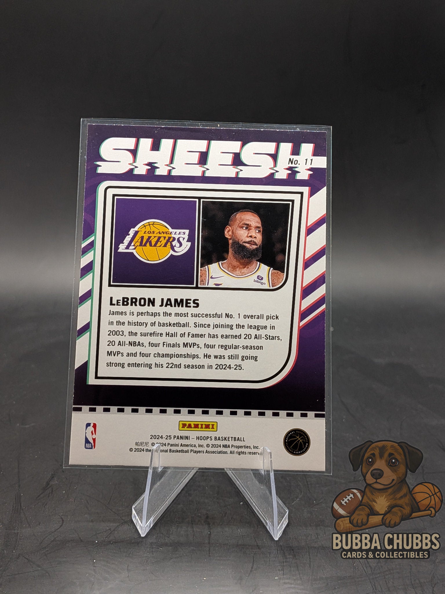 2024-25 Panini NBA Hoops Sheesh LeBron James #11